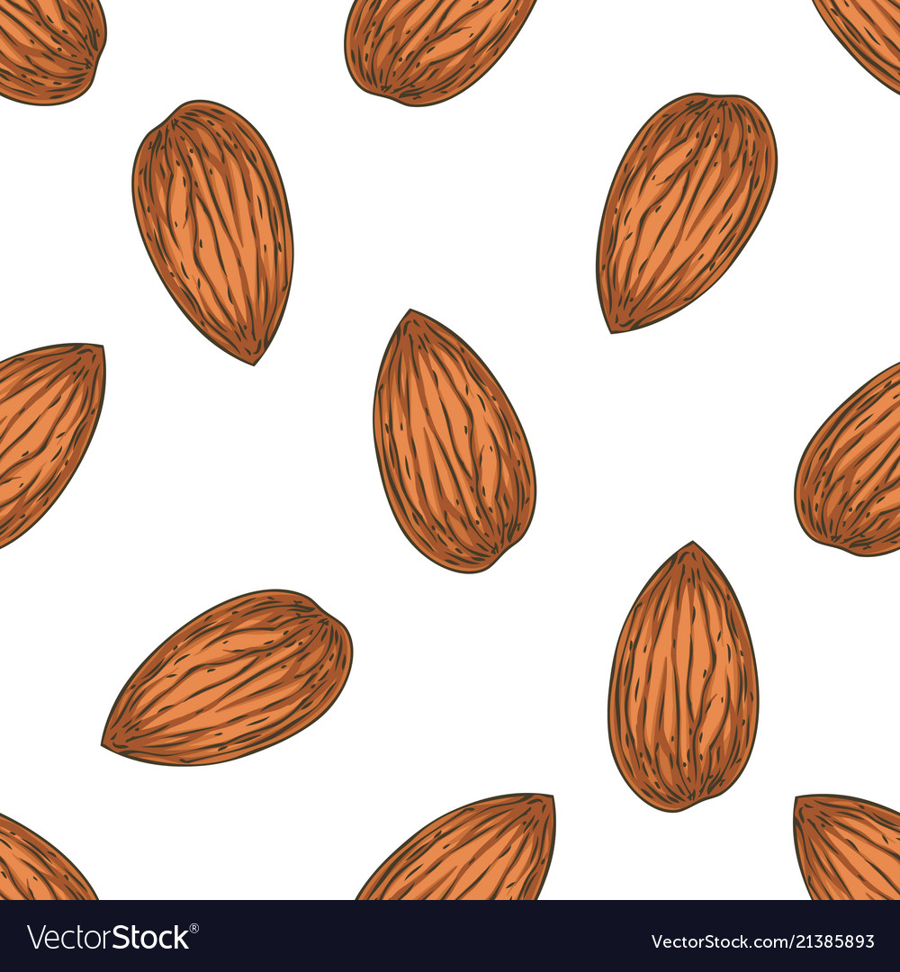 Shelled almond seamless pattern