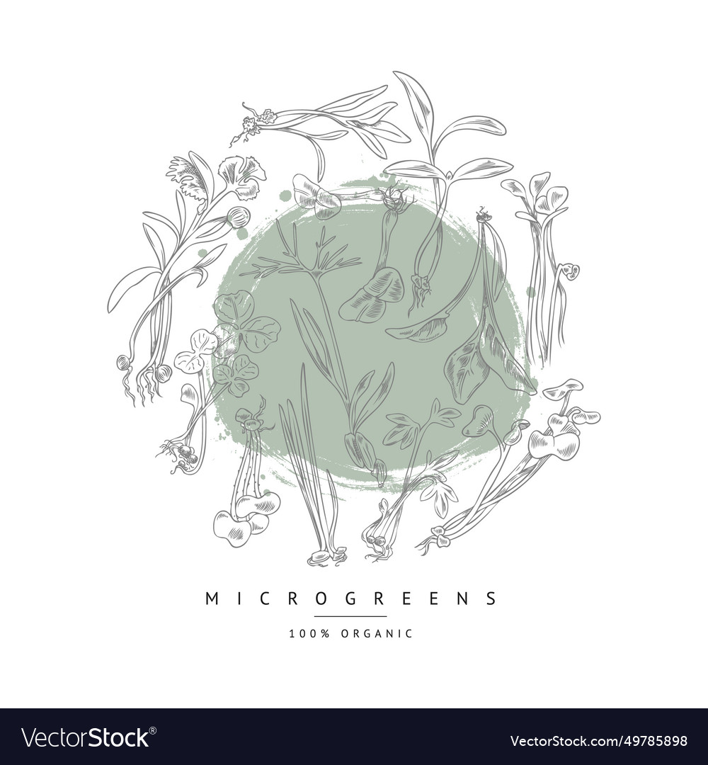 Hand drawn monochrome micro-greens in round