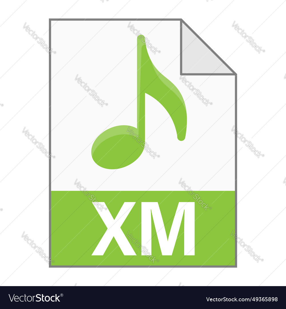 Modern flat design of xm file icon for web