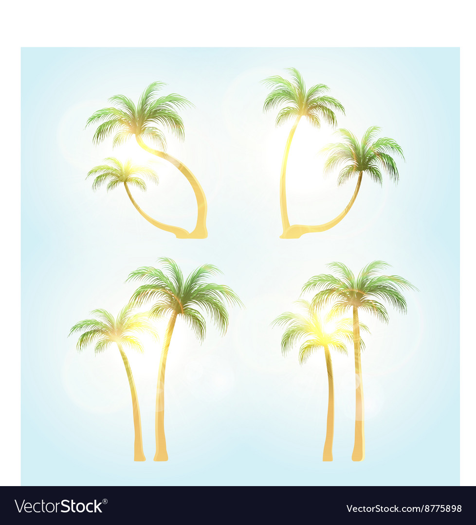 Set realistic trees with patches of sunlight