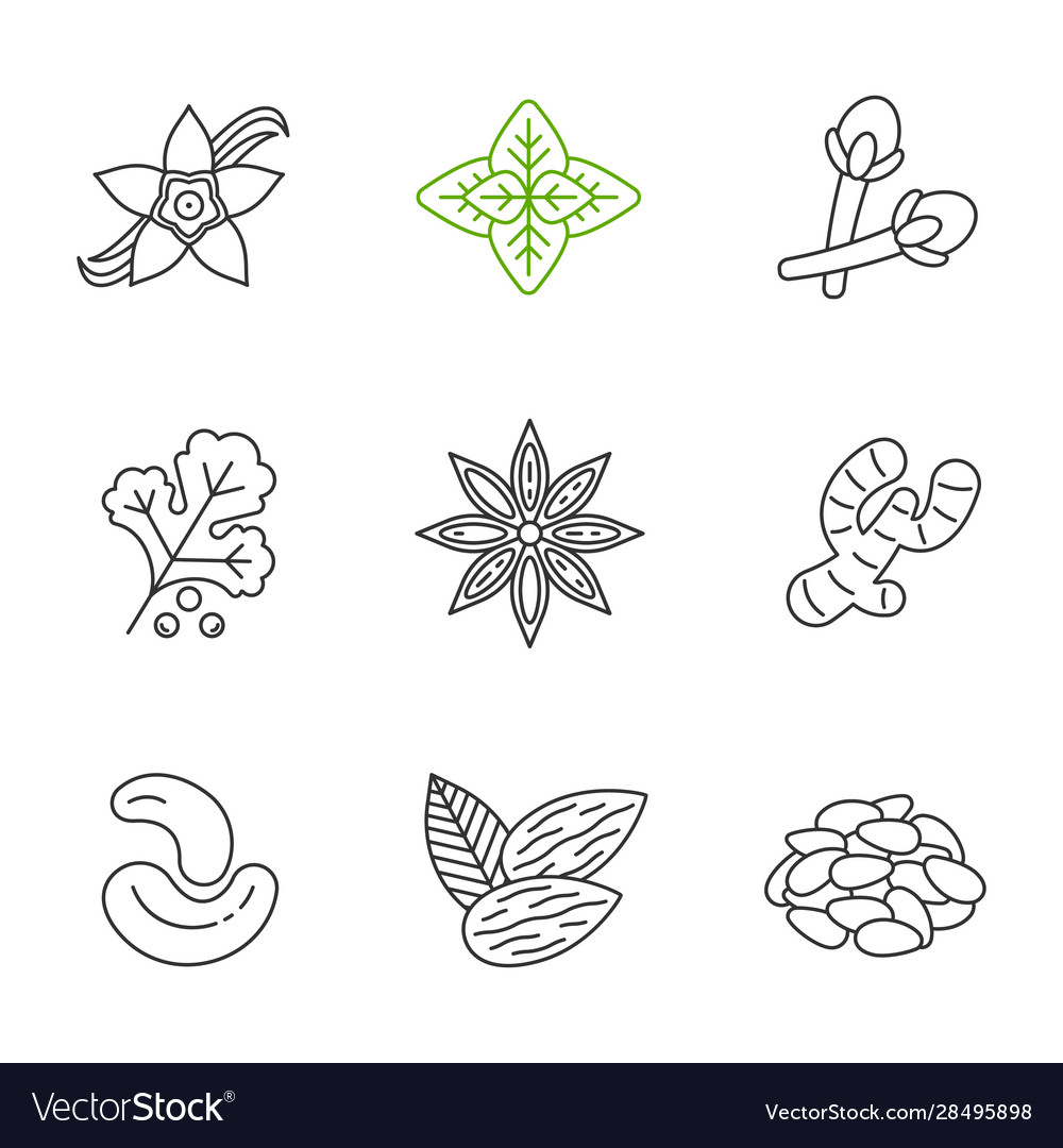 Spice Icon Set - Culinary Herbs & Spices