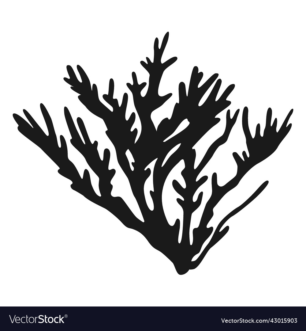 Coral silhouette Royalty Free Vector Image - VectorStock