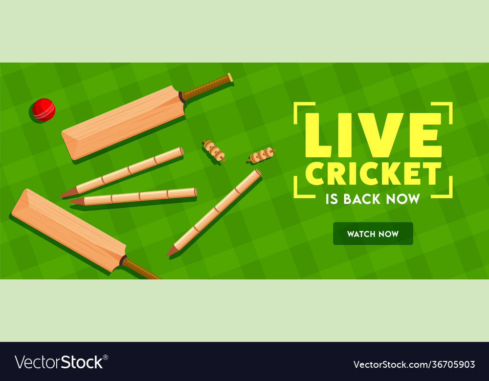 Live cricket is back now text with top view