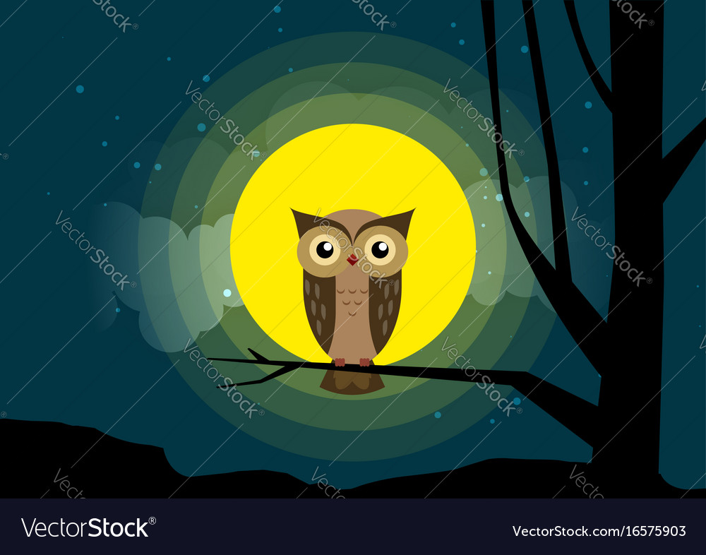 Owl sitting on a tree branch background the Vector Image