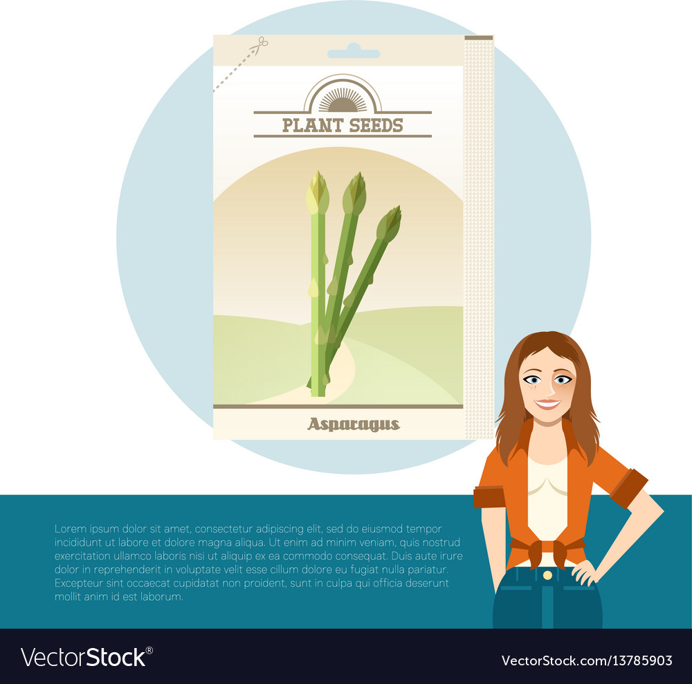 Pack of asparagus seeds icon