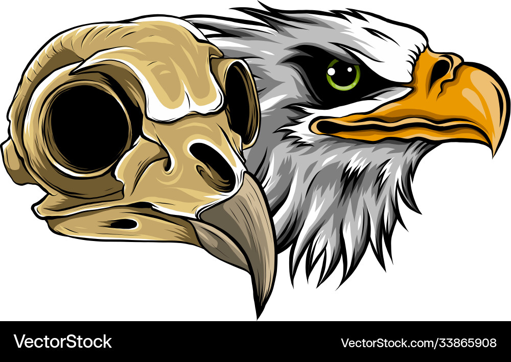 Mascot head an eagle Royalty Free Vector Image