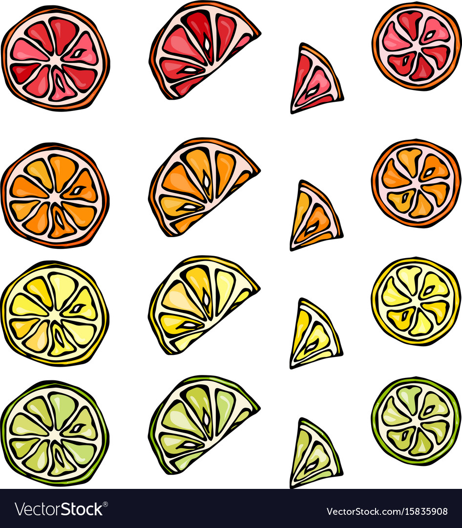 Seamless pattern of citrus lemon orange lime