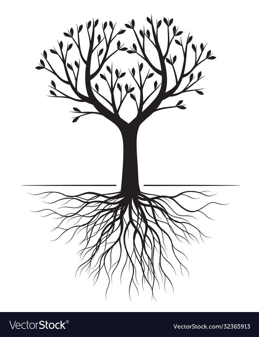 Black tree with roots Royalty Free Vector Image