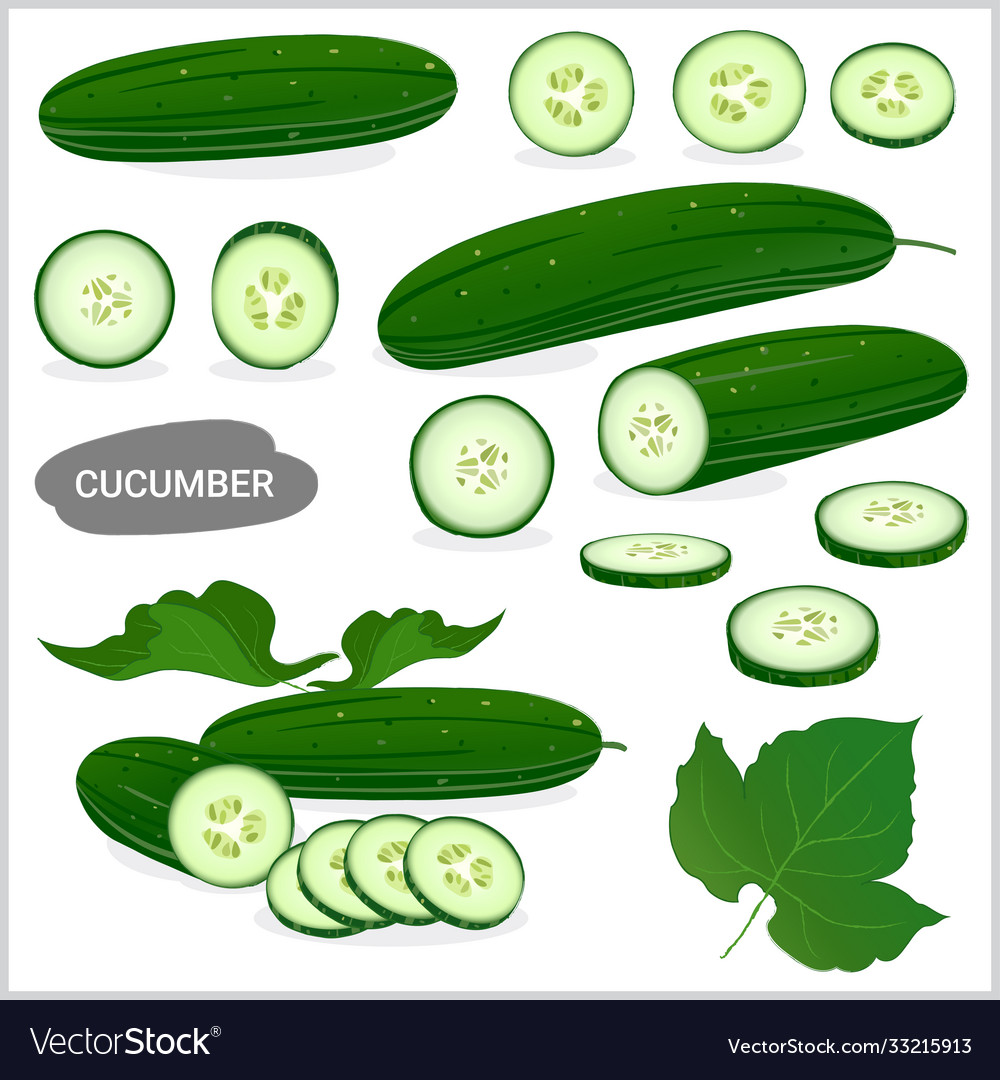 Fresh Cucumber Set - Various Styles