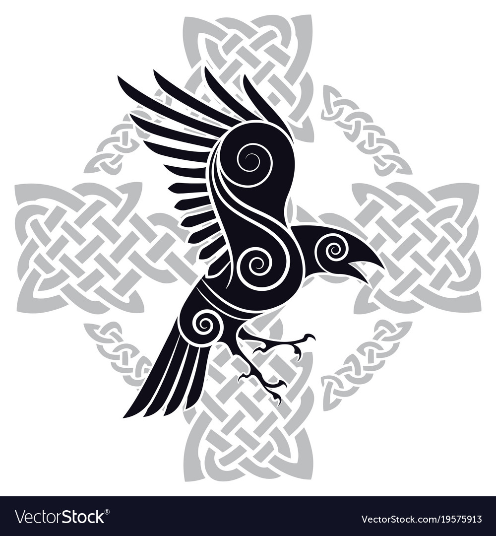 The raven of odin in a celtic style patterned Vector Image