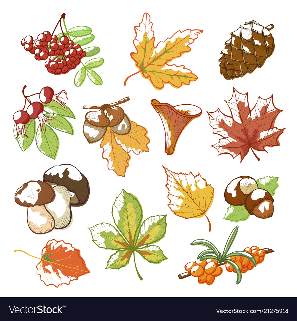 Autumn hand drawn set Royalty Free Vector Image