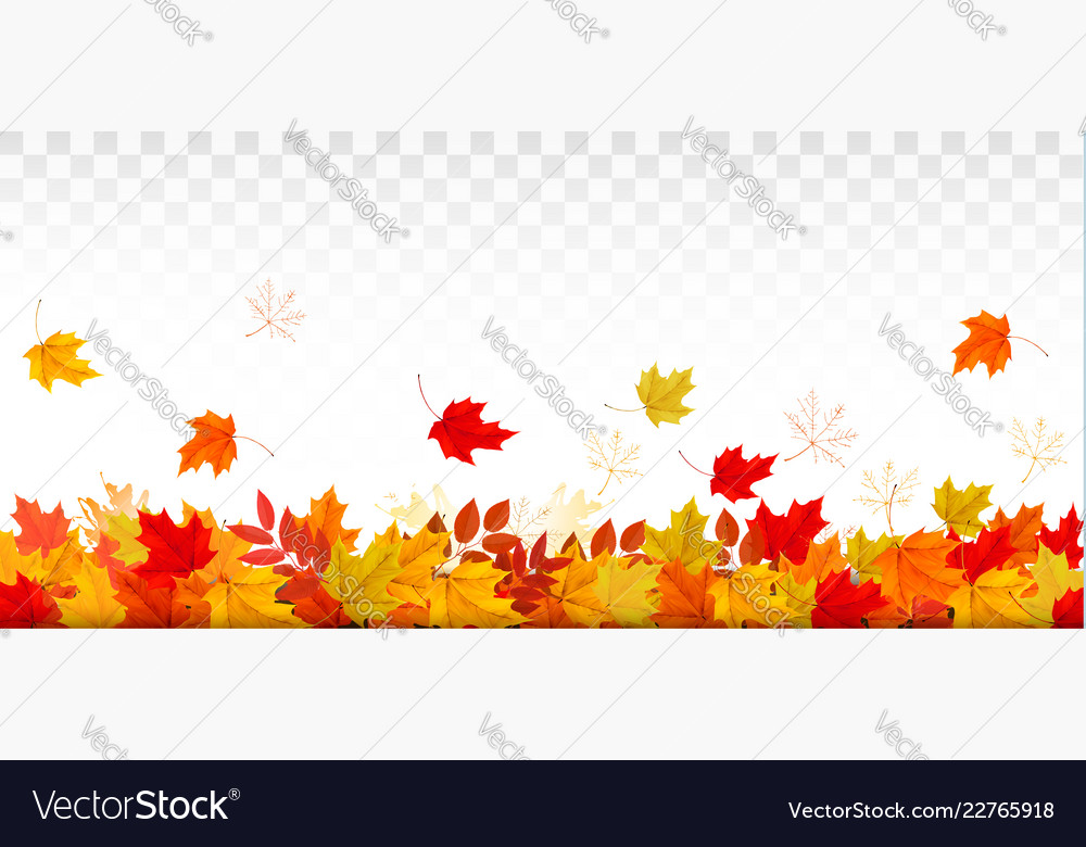 Autumn Nature Panorama With Colorful Leaves Vector Image