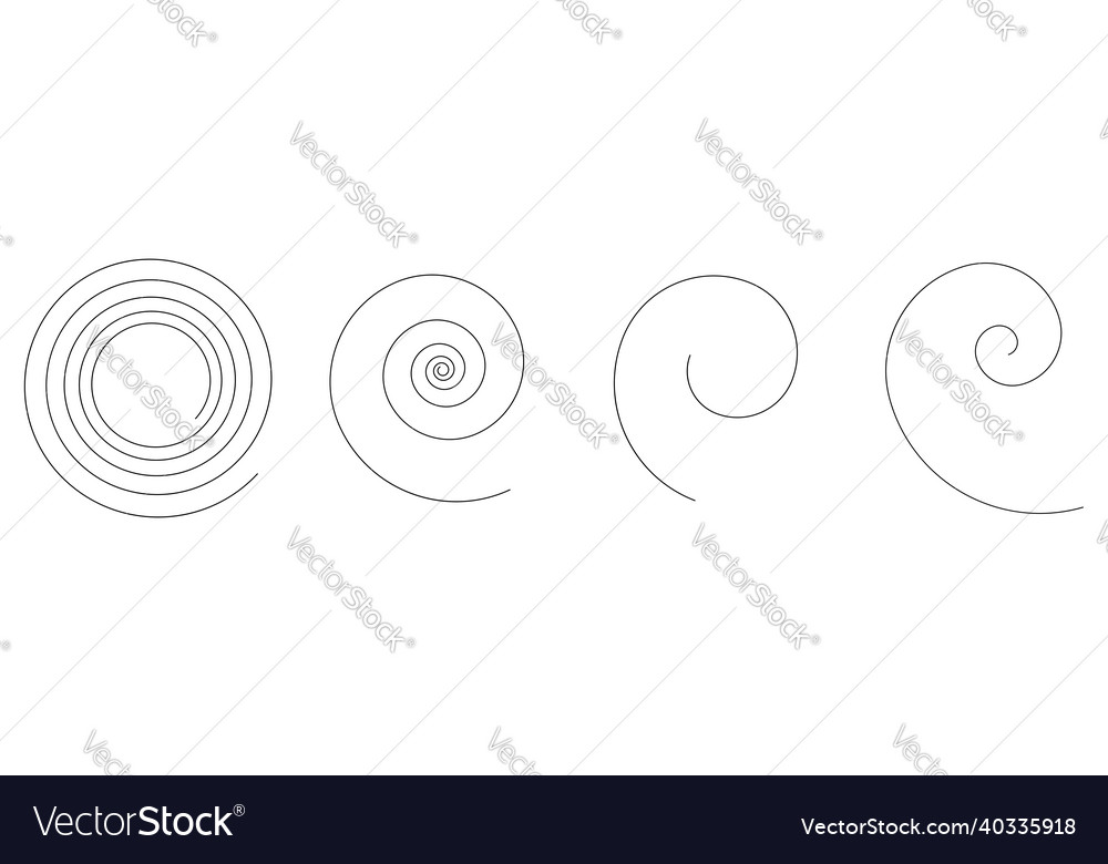 Spiral swirl twirl volute design element vector image Spiral swirl twirl volute design element