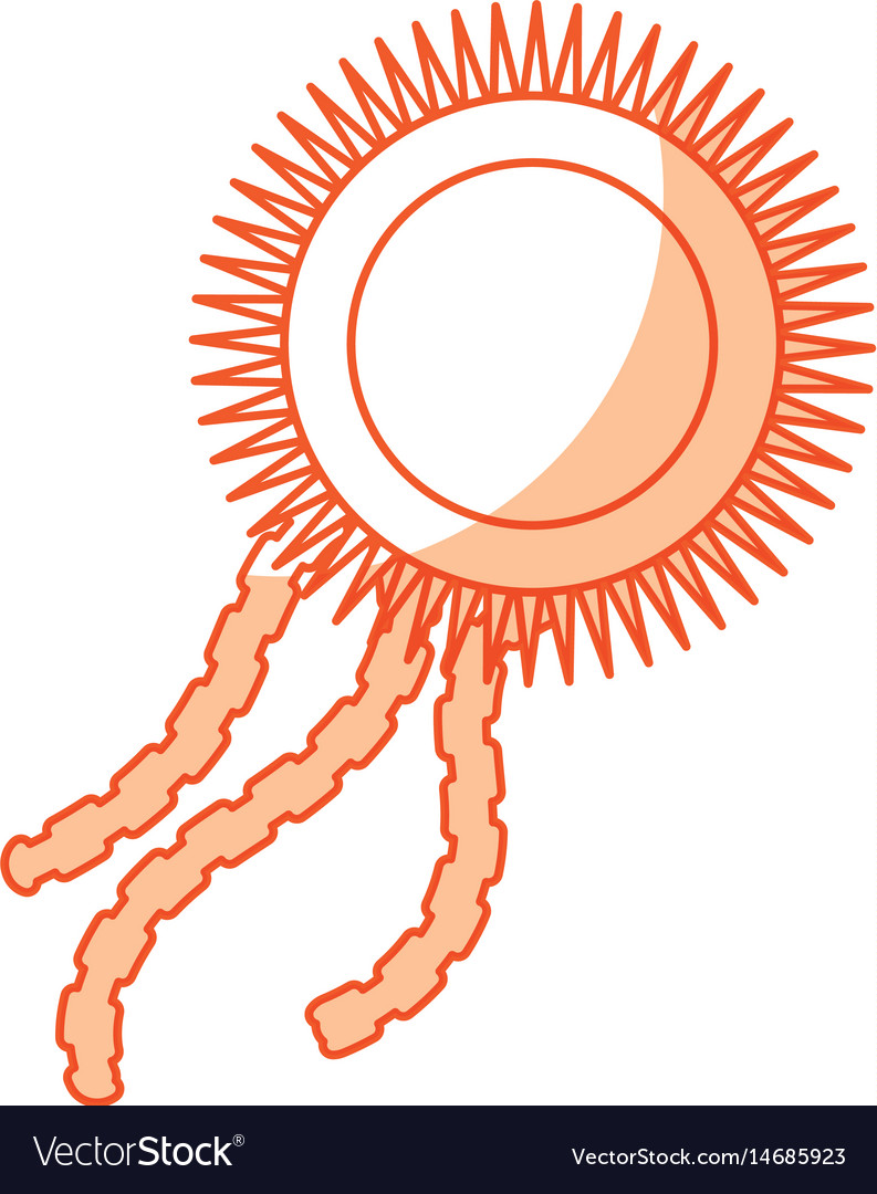 Bacterial cell structure icon Royalty Free Vector Image Bacterial cell structure icon Royalty Free Vector Image