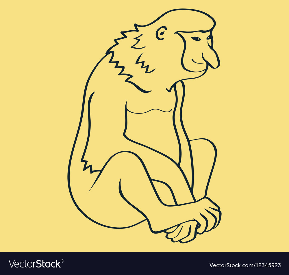 Bekantan line art