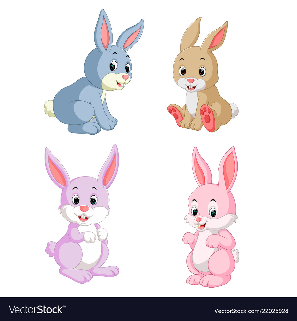 Collection of the rabbits