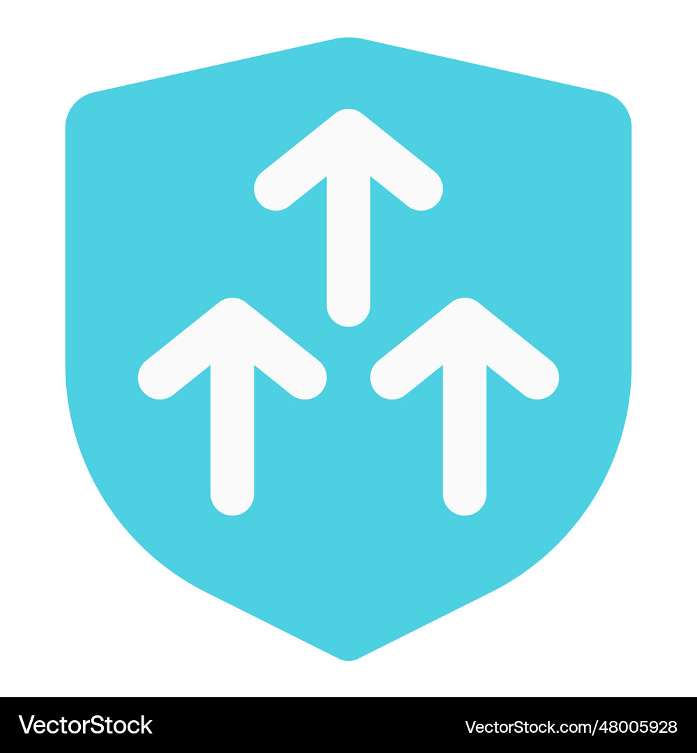 Data security with enhanced cyber shield Vector Image
