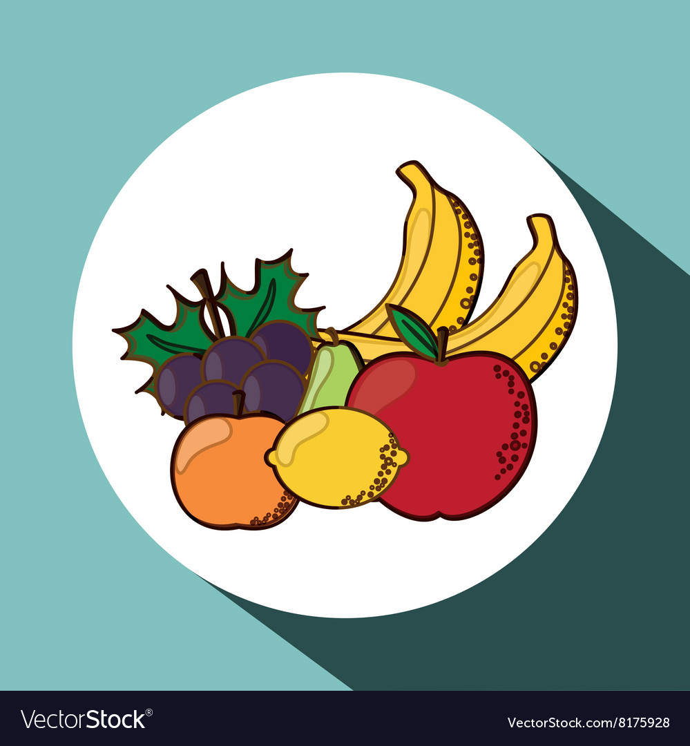 Fruits icon design