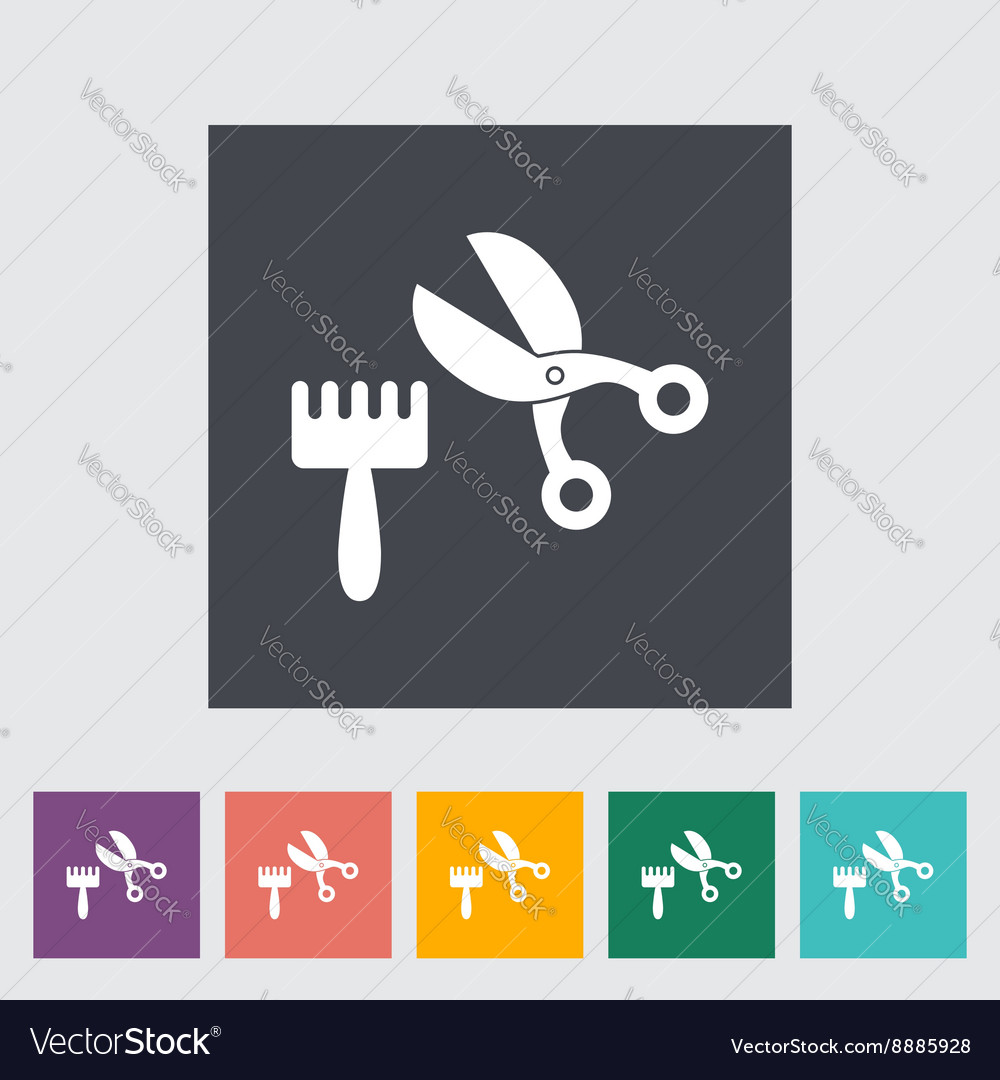 Scissors and comb