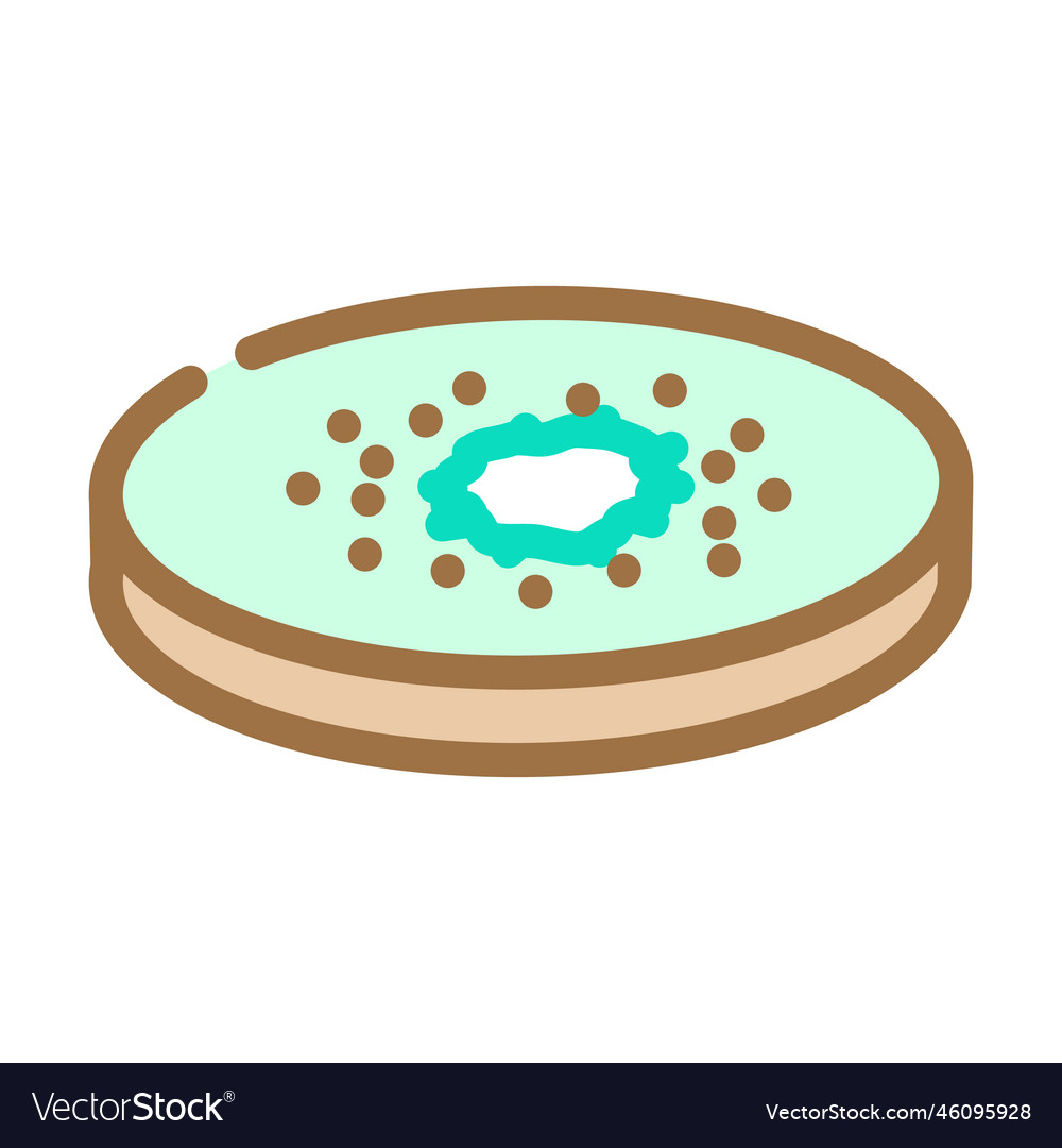 Slice kiwi color icon Vector Image Slice kiwi color icon