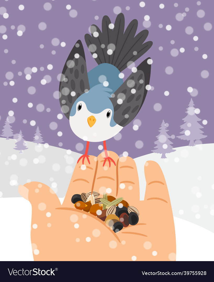 Winter birds feeding hand bird feed vector image Winter birds feeding hand bird feed