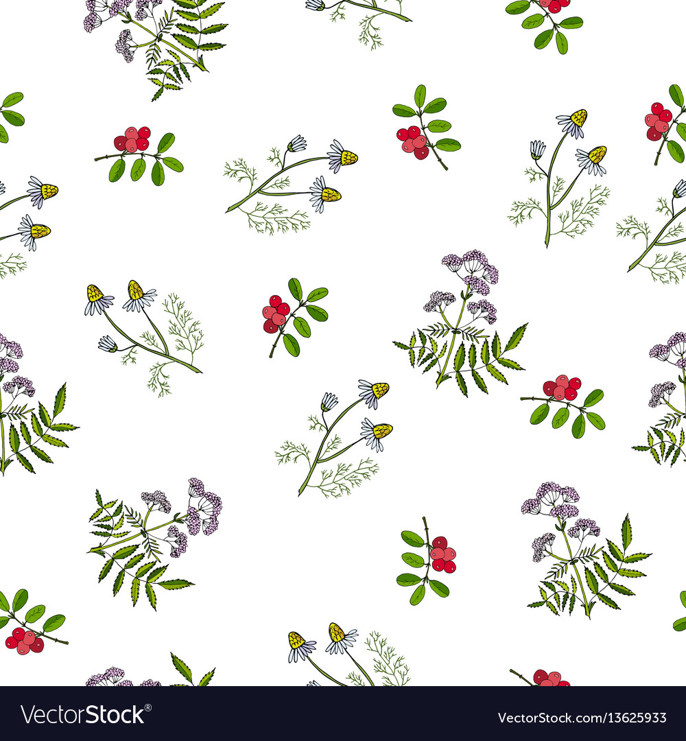 Hand Drawn Medicinal Plant Pattern