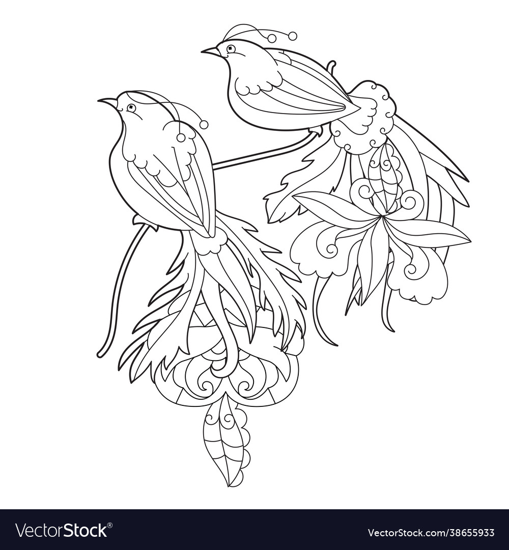 Tropical fancy birds black and white picture Vector Image