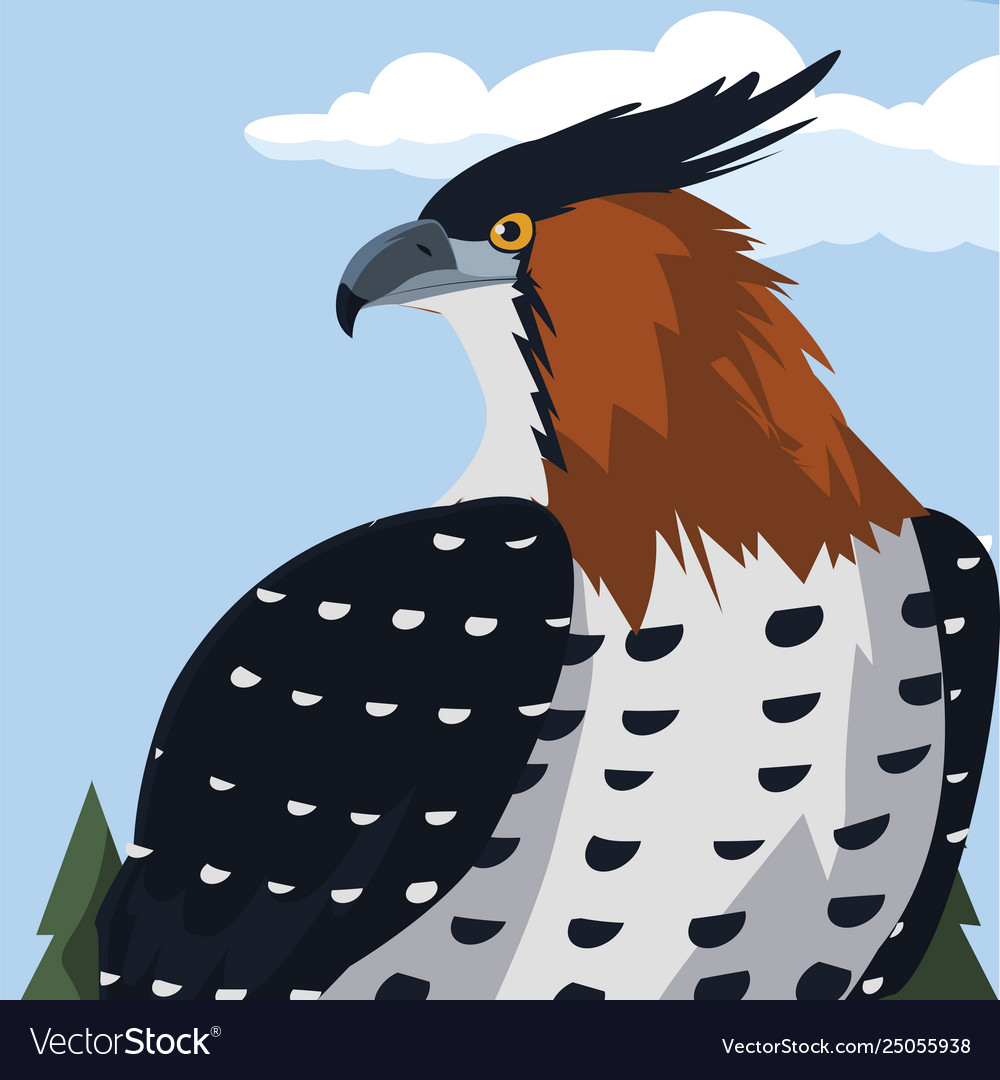 Beautiful hawk majestic bird in landscape Vector Image