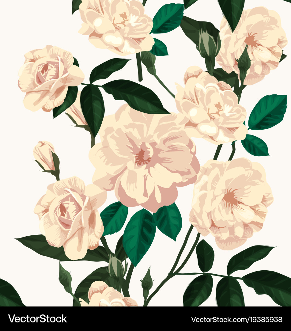Rose seamless pattern Royalty Free Vector Image