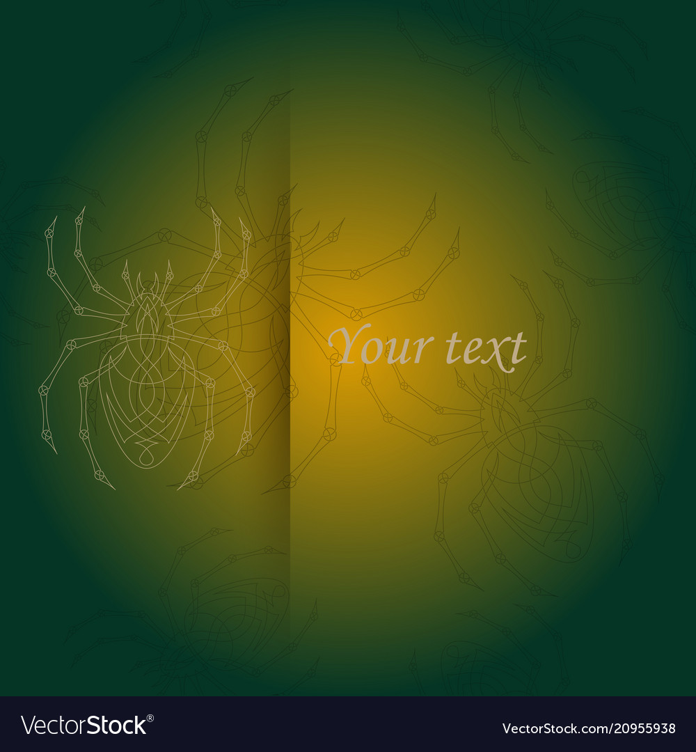Spiders pattern