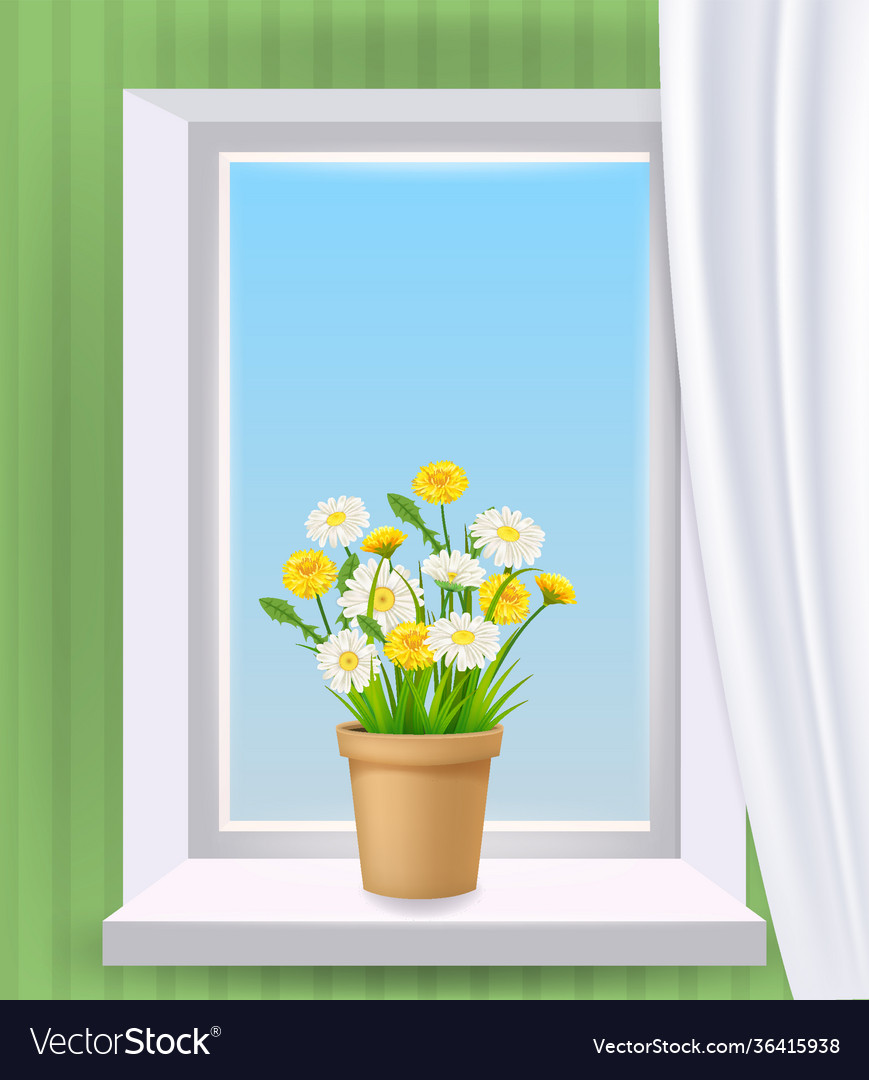 Window view in interior spring flower pot Vector Image