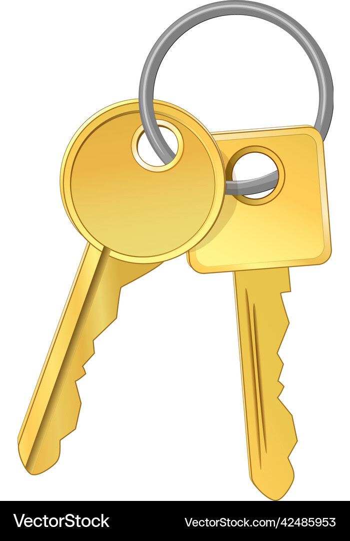 Golden Keys with Ring Royalty Free Vector Image