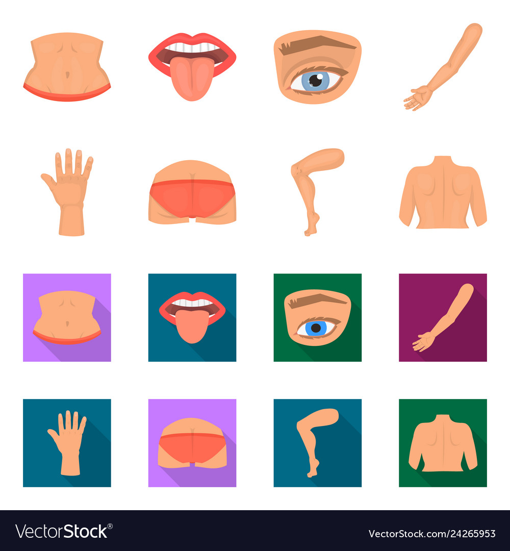 Isolated object of body and part icon set vector image Isolated object of body and part icon set