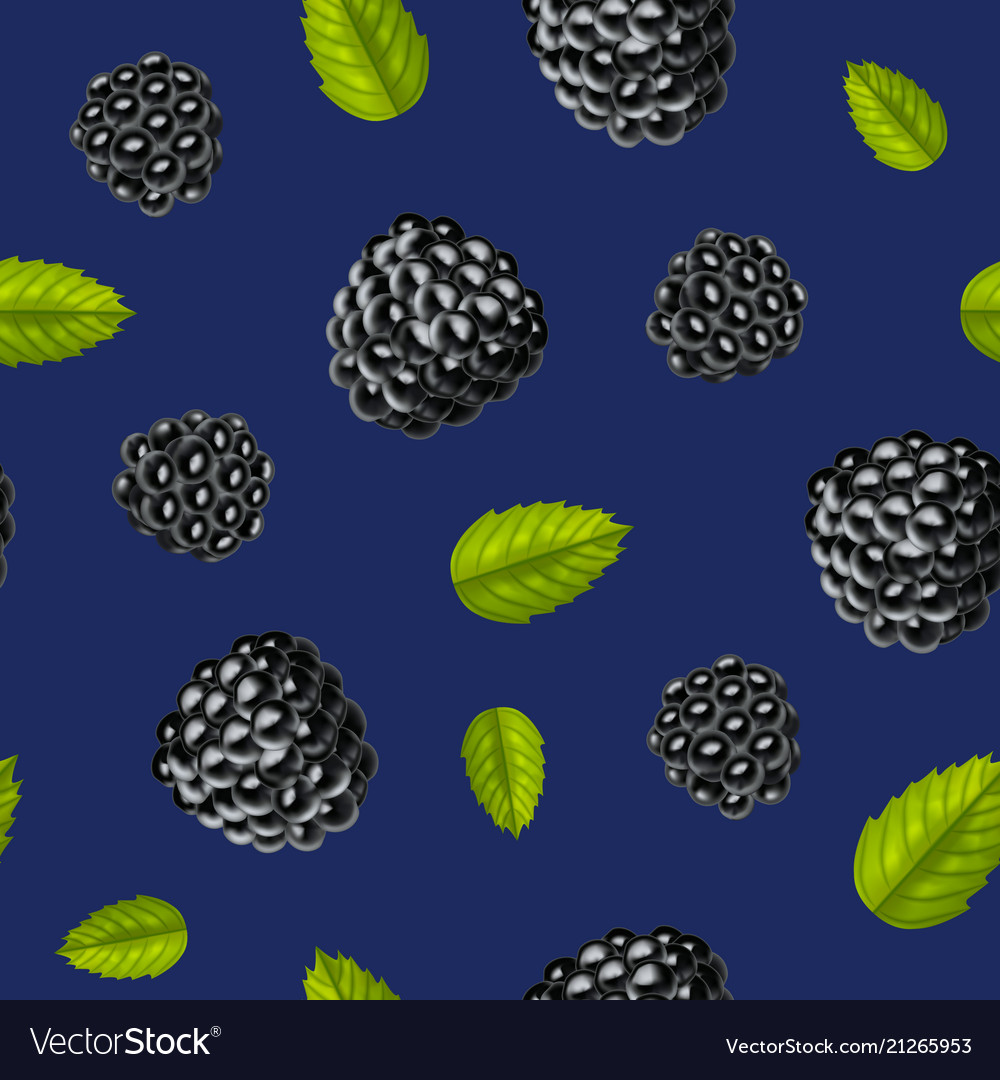 Realistic detailed 3d blackberries with green