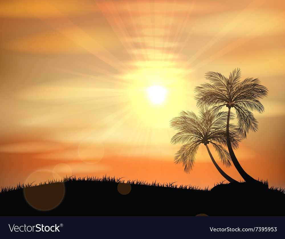 Sunset background with palm tree