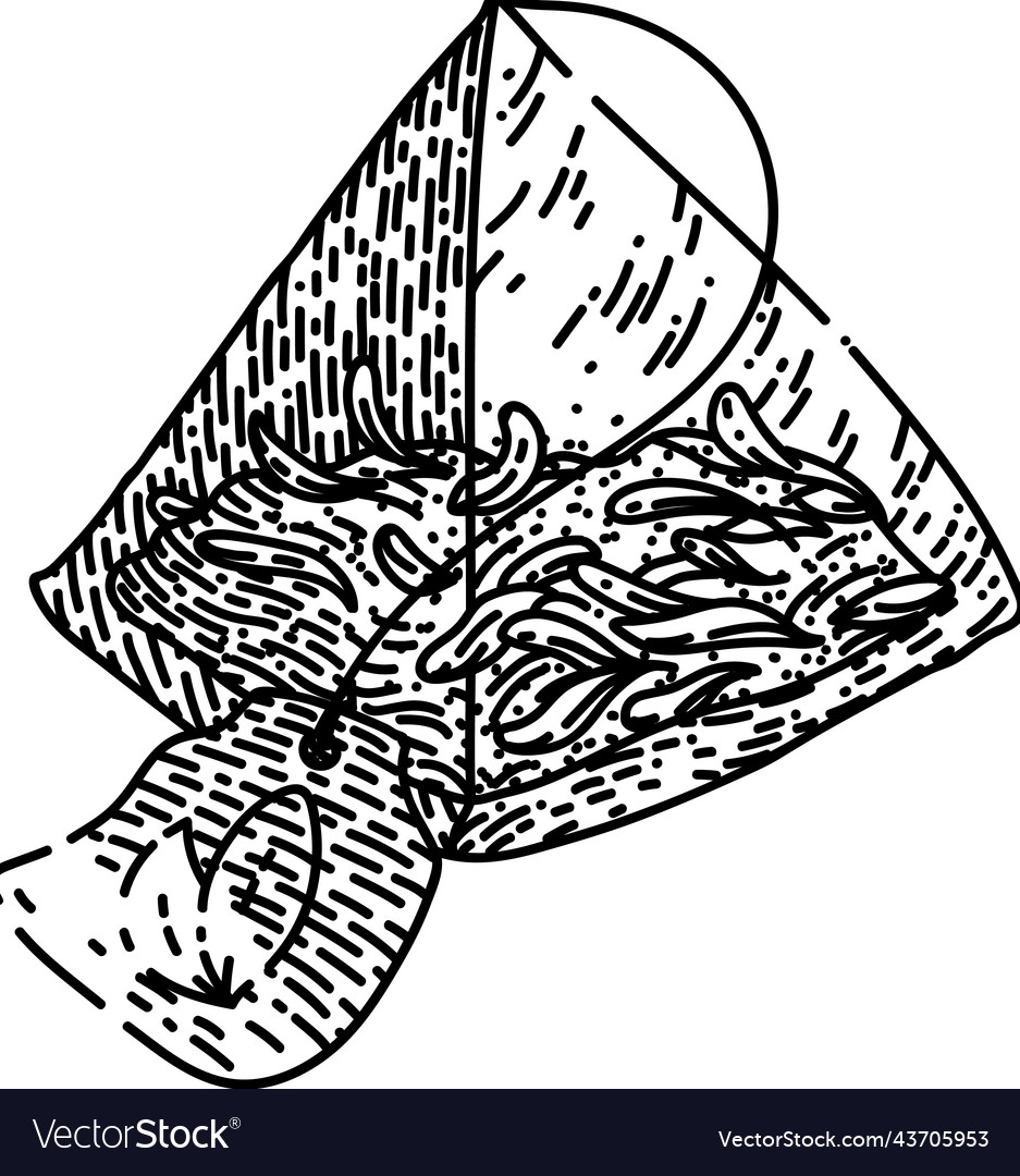 Tea bag sketch hand drawn Royalty Free Vector Image