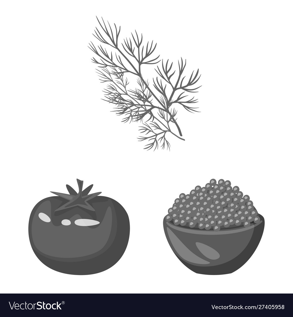 Isolated object spices and aroma symbol set vector image Isolated object spices and aroma symbol set