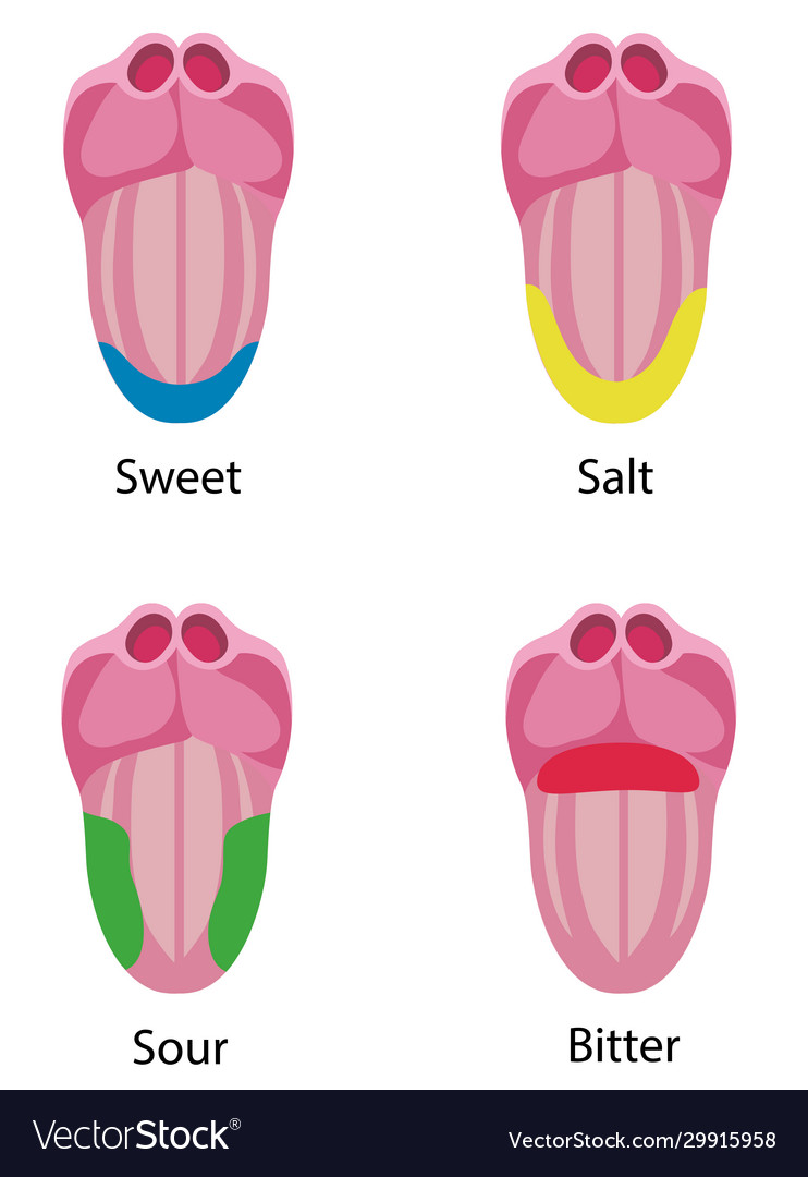 Language structure