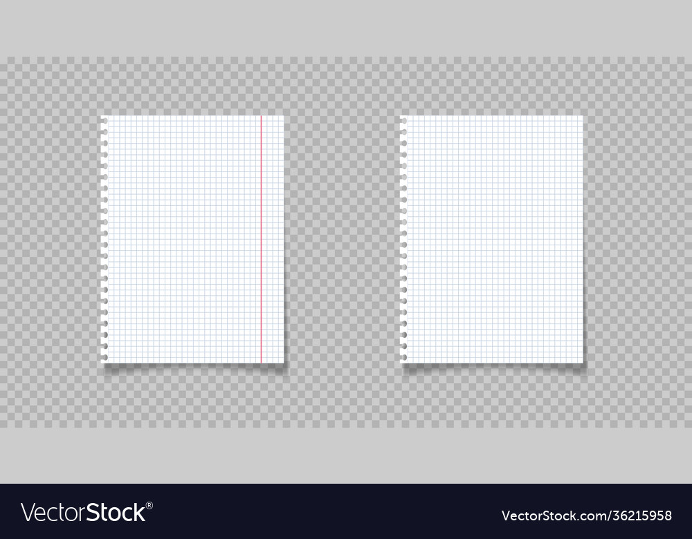 Notebook paper on transparent background vector image Notebook paper on transparent background
