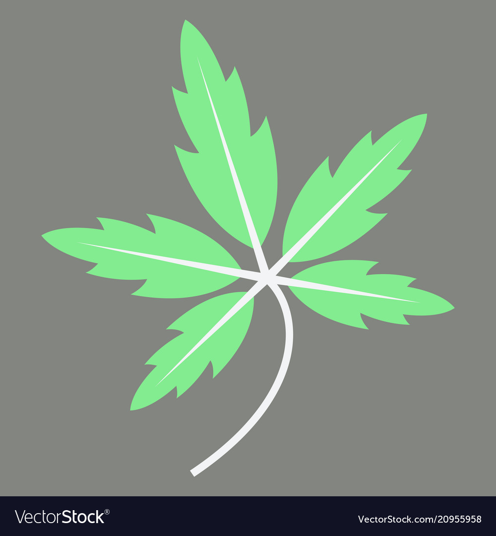 Tree leaf in flat style