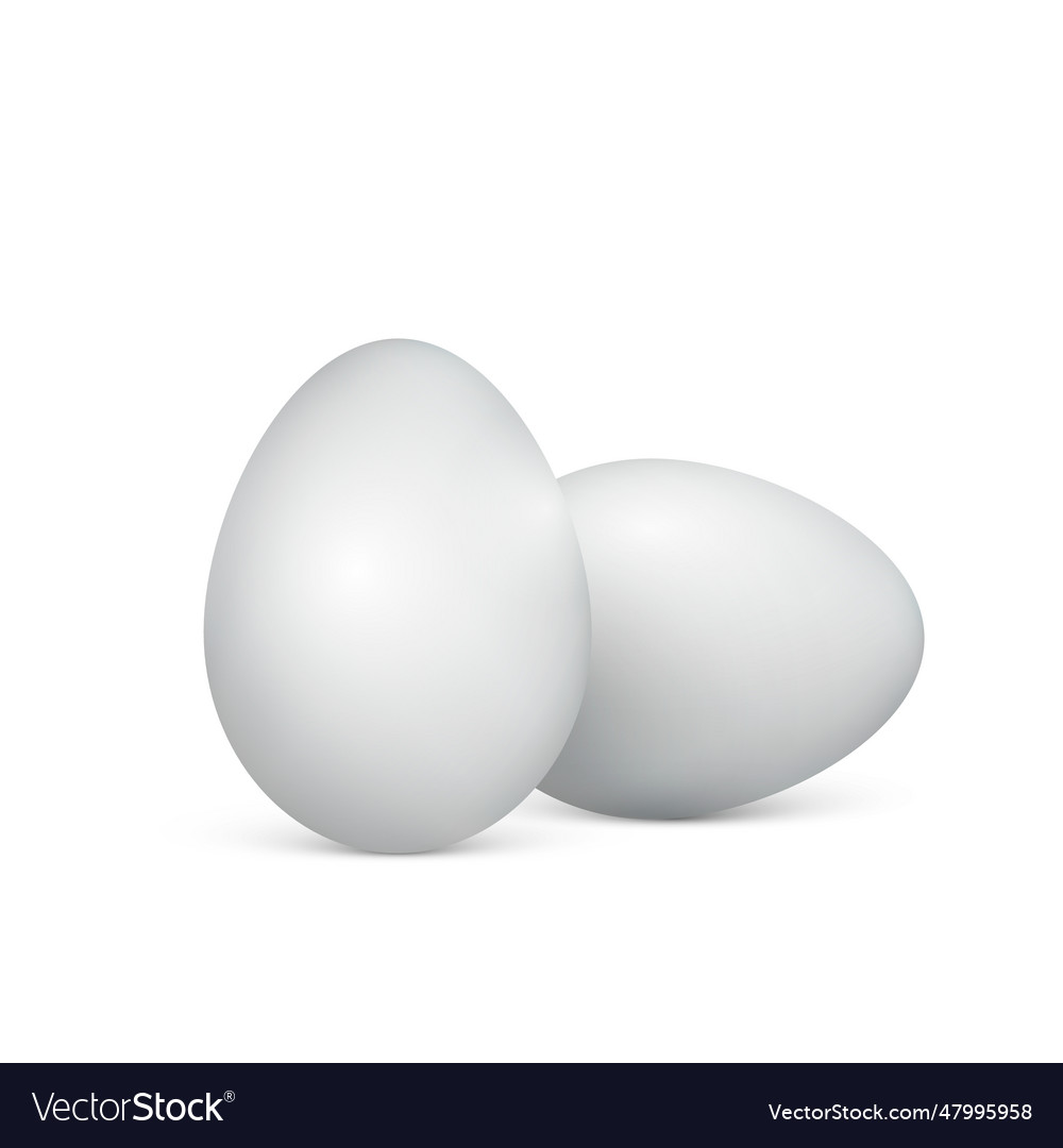 White eggs on a background healthy food Royalty Free Vector