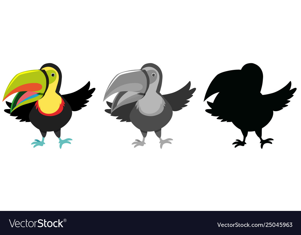Set toucan character