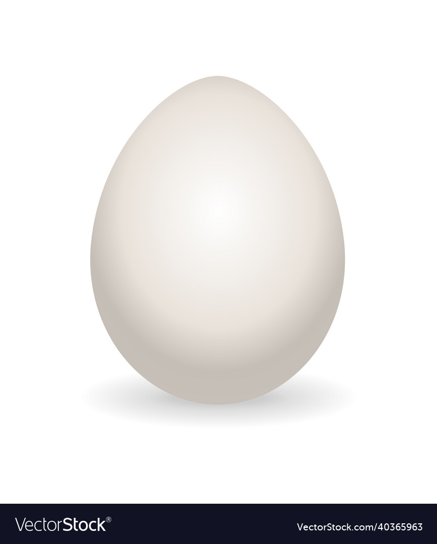 Whole egg realistic chicken with not broken Vector Image