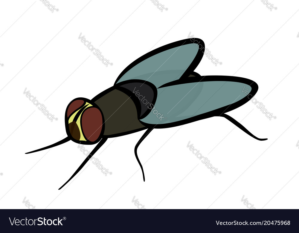 Learning to fly Royalty Free Vector Image - VectorStock