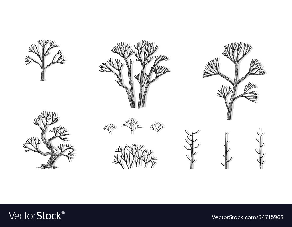 Tree-015-3