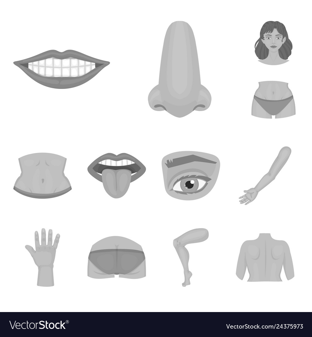 Design of body and part symbol set vector image Design of body and part symbol set