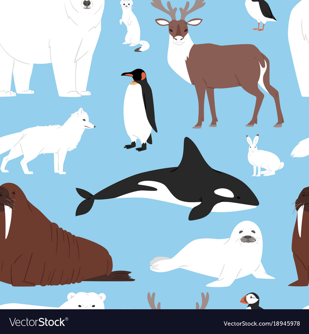 Arctic animals cartoon polar bear or Royalty Free Vector