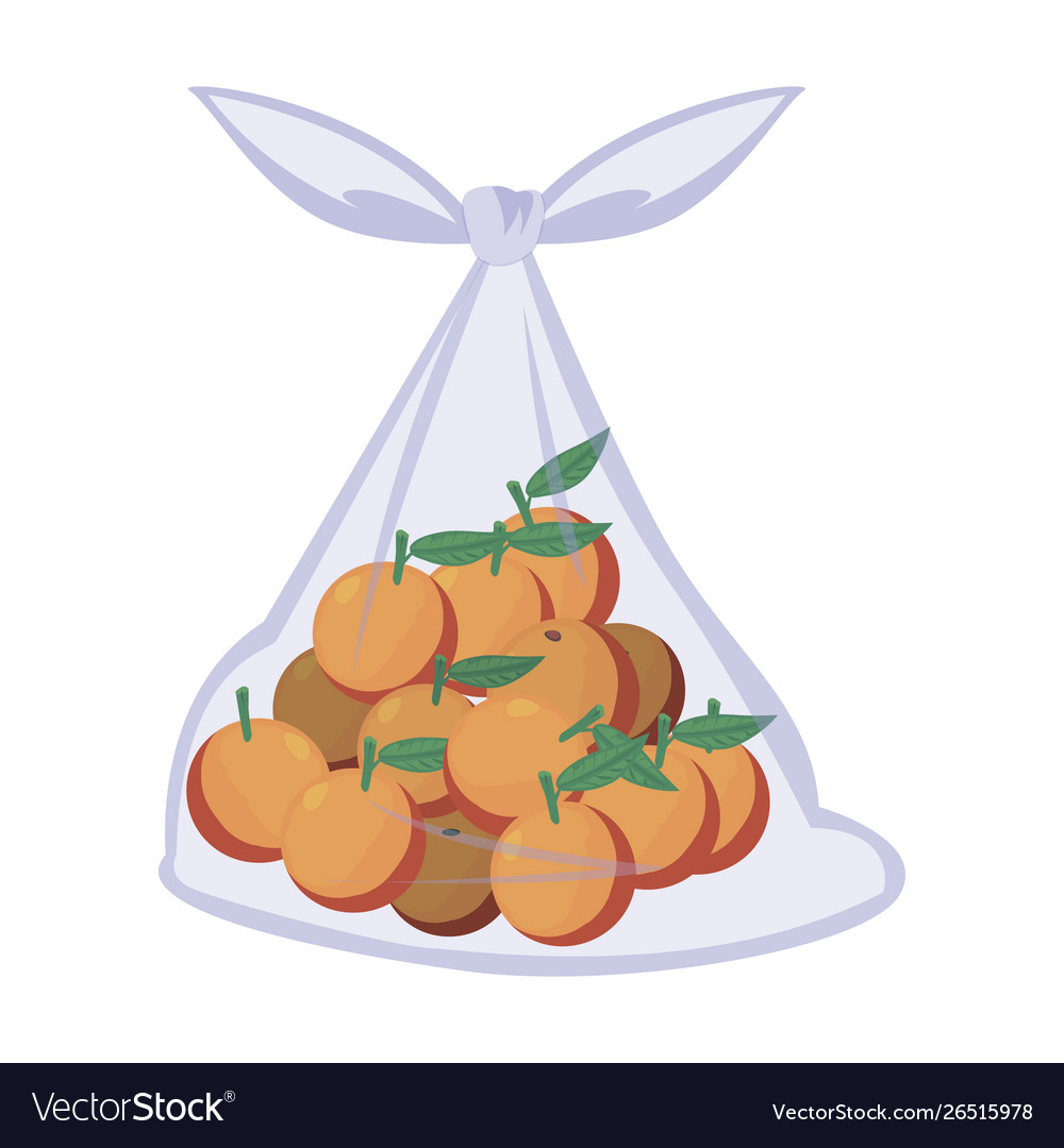 Fresh fruit oranges in bag plastic Royalty Free Vector Image