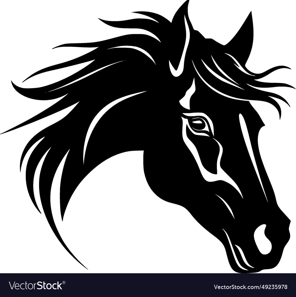 Horse - black and white