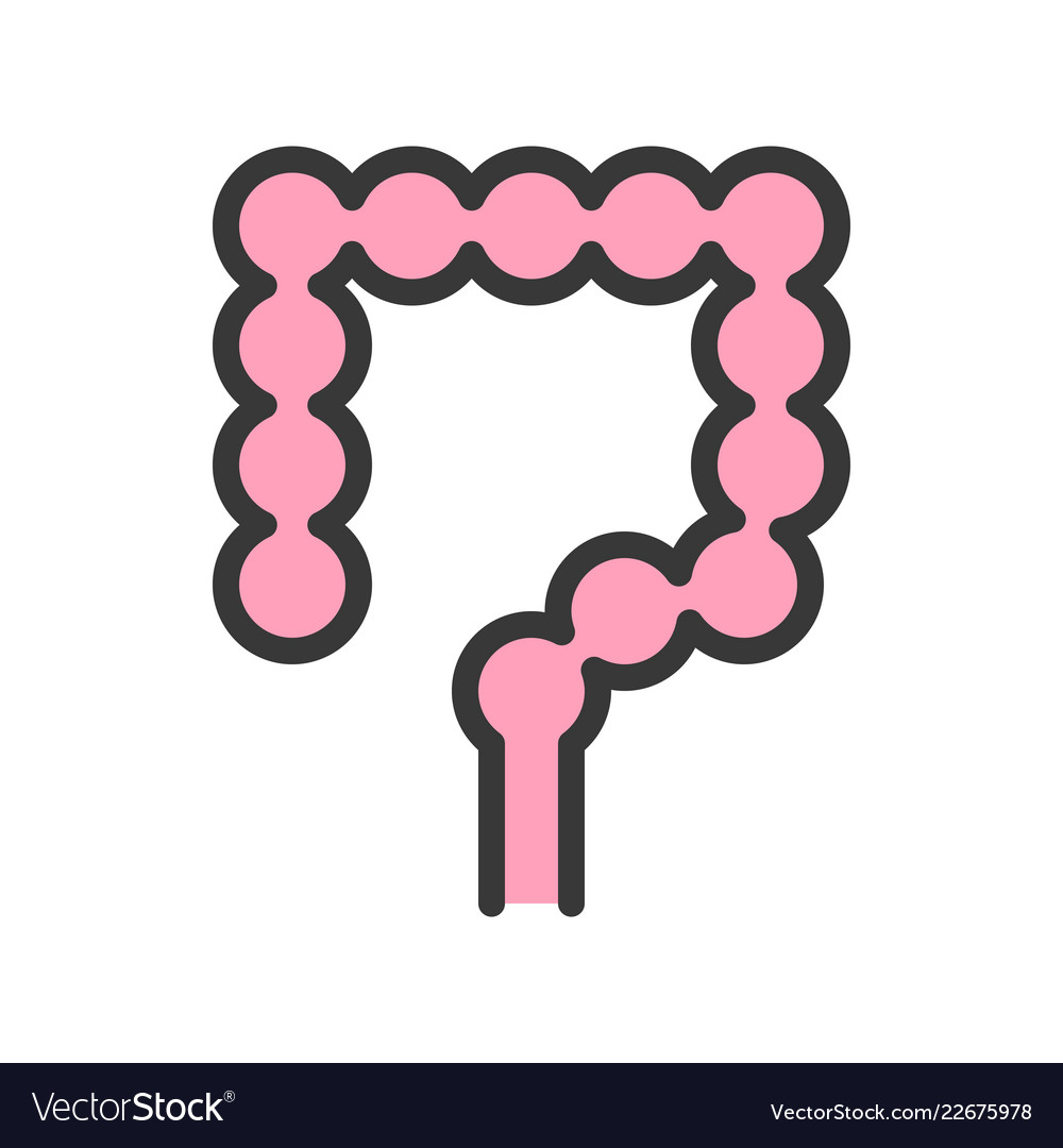 Large intestine simple filled outline icon